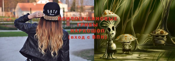 прущие крисы Алзамай