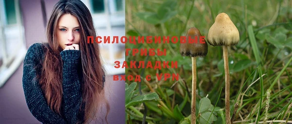MESCALINE Медногорск